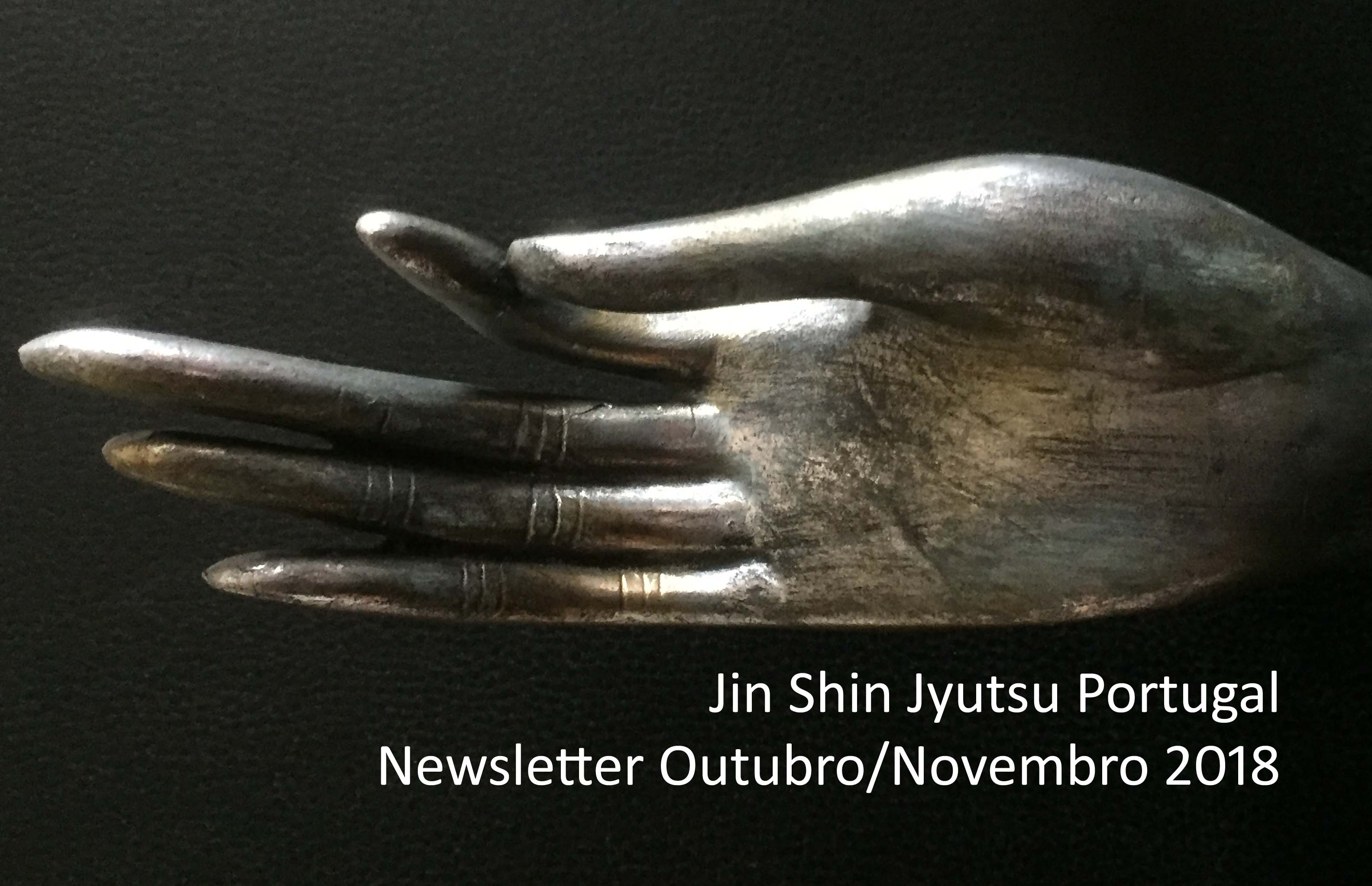newsleoutnovembro